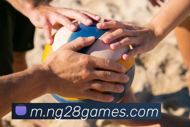 App Interface Preview