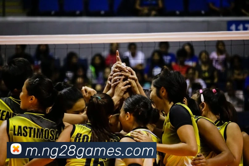 南宫28APP 封面图